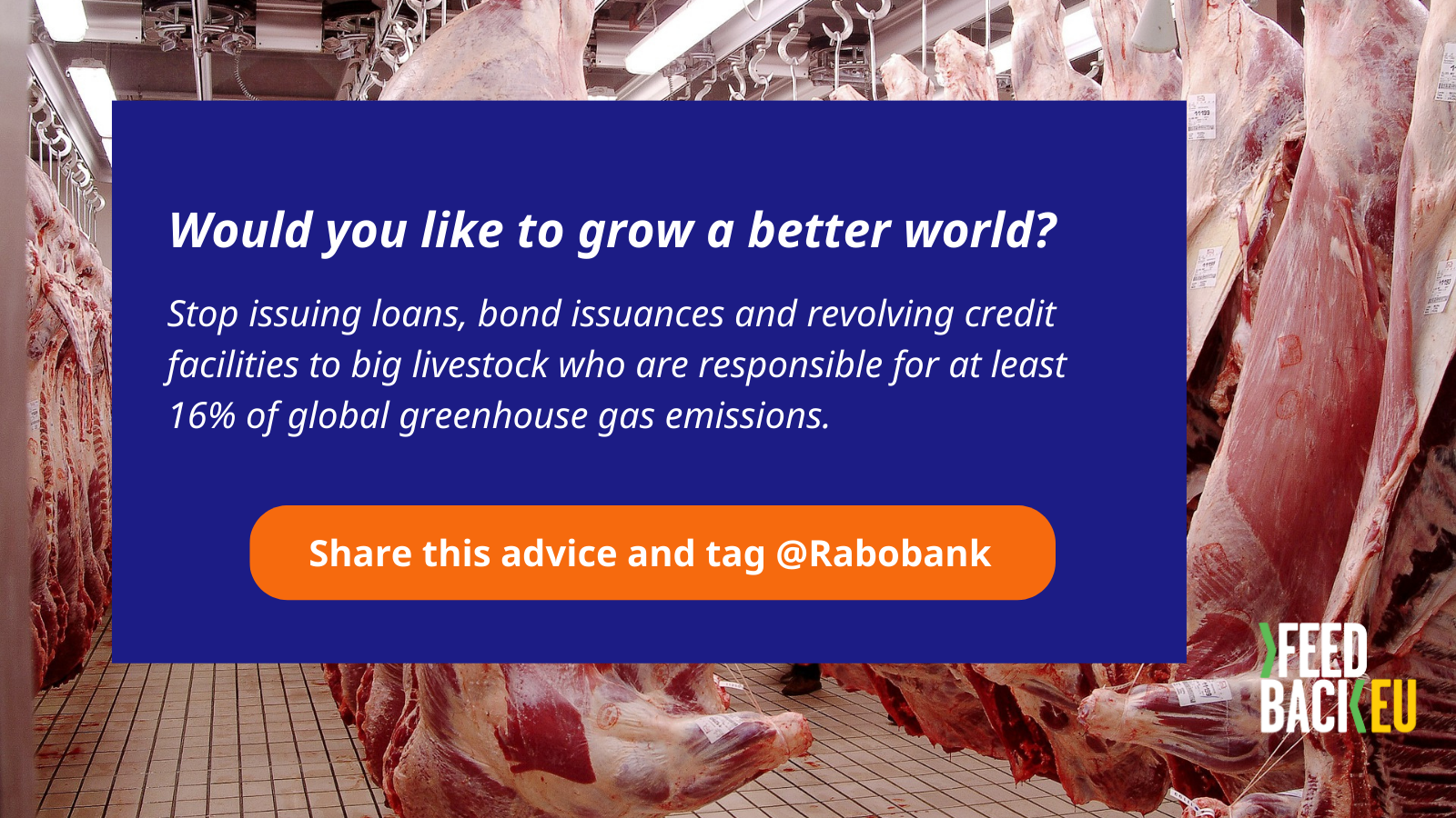 Press release: Rabobank called on to stop financing industrial meat and dairy production